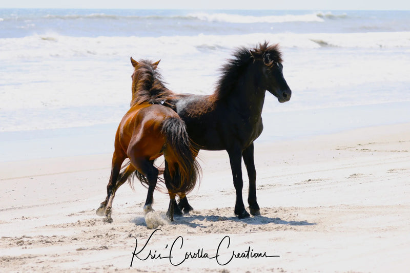 Kris' Corolla Creations 24"x 36" Wall Canvas- Stallions on the Shore