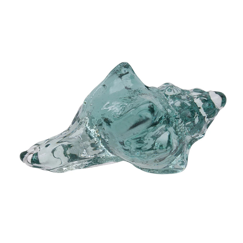 Shell Conch Glass Art