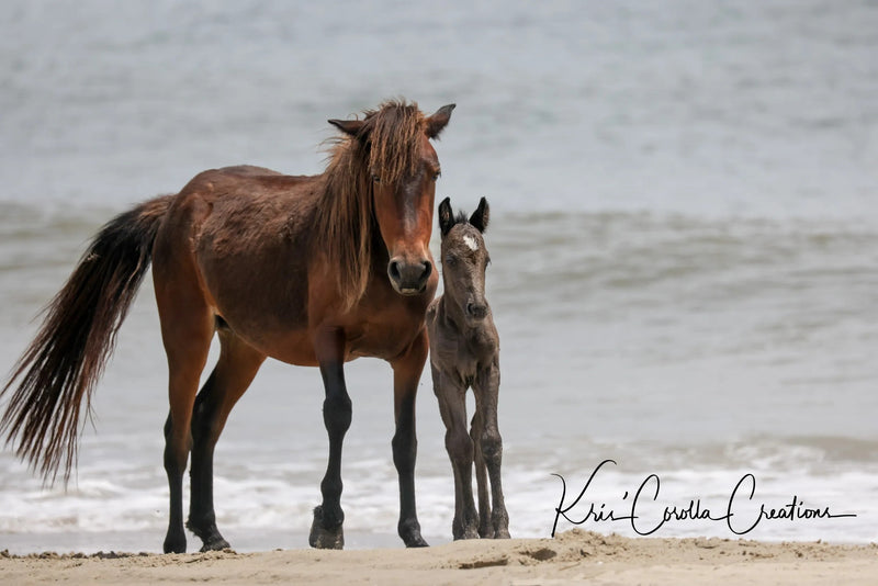 Kris' Corolla Creations 24"x 36" Wall Canvas- Mama & Baby on the Shore