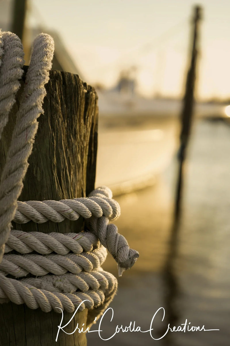 Kris' Corolla Creations 30" x 40" Wall Canvas- Rope on a Piling