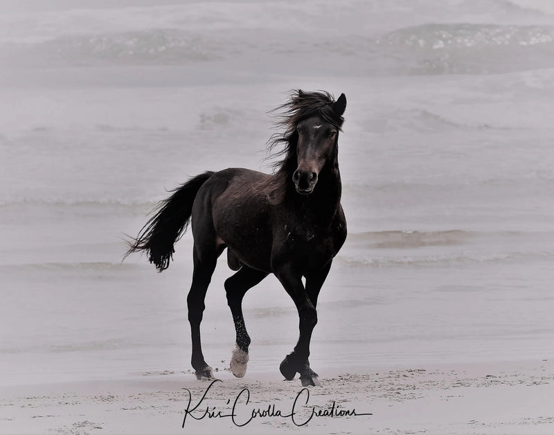 Kris' Corolla Creations 24"x 36" Wall Canvas- Portrait of Rhett