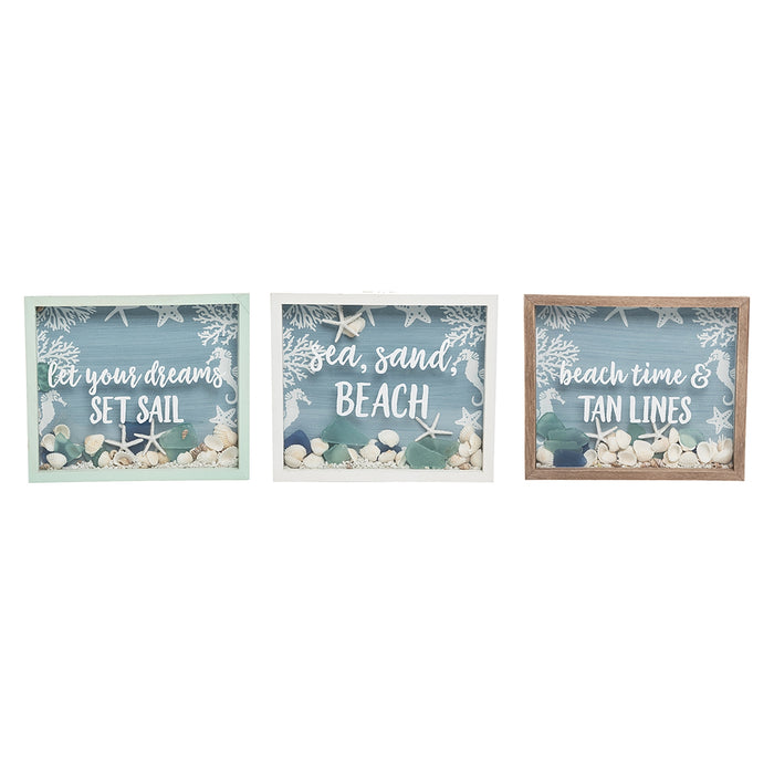 Small Shell Shadow Box-Assorted