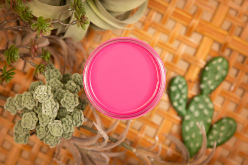 Silk All-In-One Mineral Paint- Prickly Pear