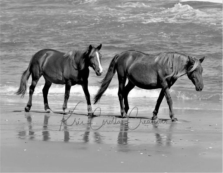 Corolla's Spanish Mustangs 16"x 20" Wall Canvas- Walk on the Beach Duo