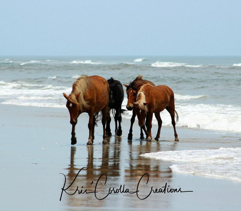 Corolla's Spanish Mustangs 11"x14" Wall Canvas- Dipping Their Hooves