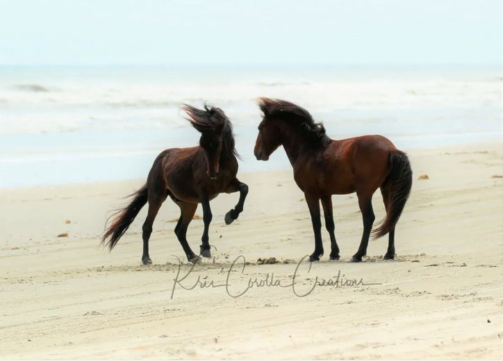 Corolla's Spanish Mustangs 8"x 8" Wall Canvas- Horsing Around