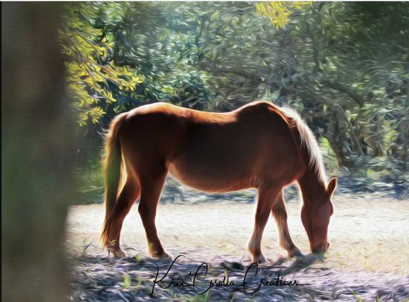 Corolla's Spanish Mustangs 24"x 36" Wall Canvas- Beauty in the Brush
