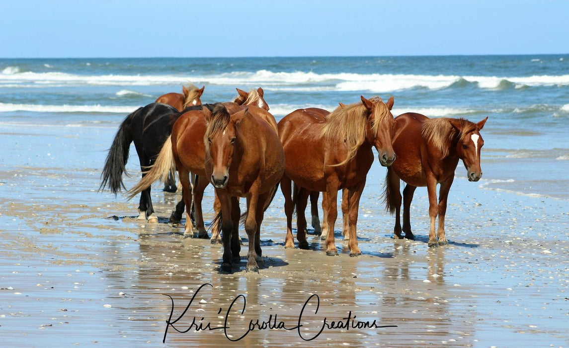 Corolla's Spanish Mustangs 30"x 40" Wall Canvas- Harem on the Shoreline II