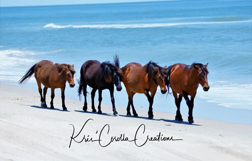Corolla's Spanish Mustangs 18"x 24" Wall Canvas- Morning Walk on the Shore