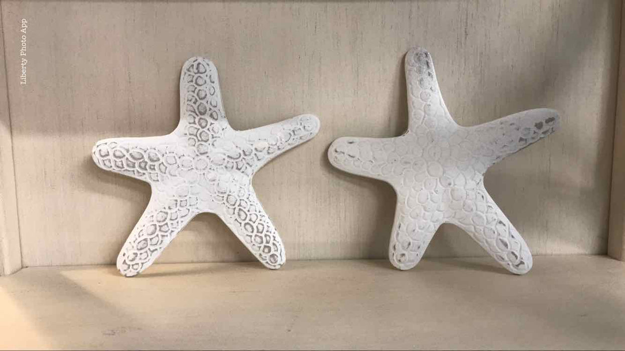 Large Textured White Starfish