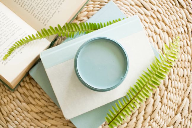 Silk All-In-One Mineral Paint- Harbor