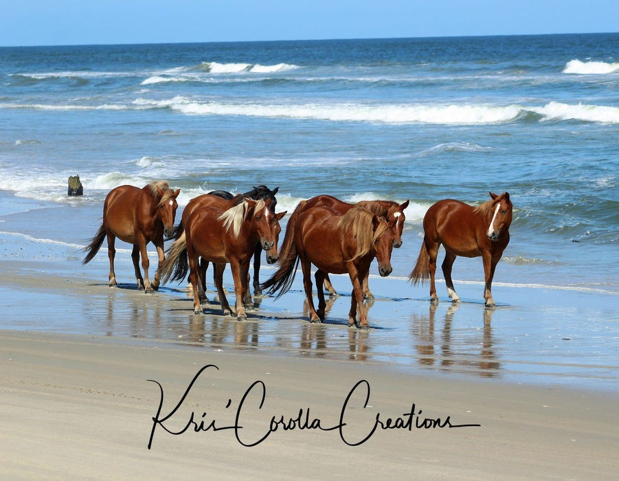 Corolla's Spanish Mustangs 11"x 14" Wall Canvas- Harem on the Shoreline