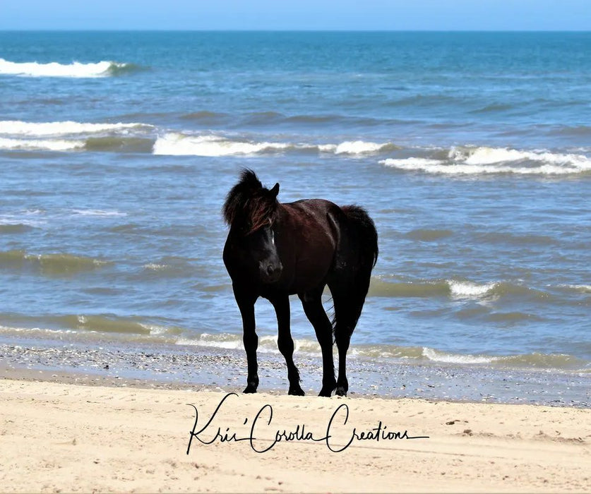 Corolla's Spanish Mustangs 11"x 14" Wall Canvas- Ocean Breeze Beauty