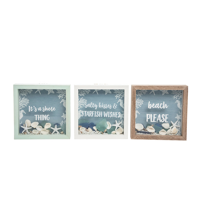 X-Small Shell Shadow Box-Assorted